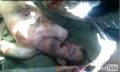 شهادت هموطن أحوازي عليرضا غبيشاوى زير شكنجه وحشيانه در زندانهاى ايران 