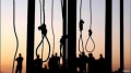 Document - Iran: Halt Execution of 33 Sunnis - Accounts of Cases Raise Fair Trial Concerns
