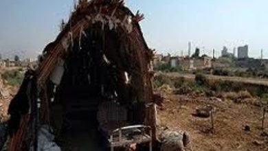 ما هي الحقوق الاقتصادية والاجتماعية والثقافية؟