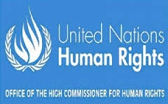 Spokesperson for the UN High Commissioner for Human Rights: Ravina Shamdasani