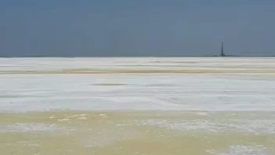 صحراء ملحية بعد الجفاف في هور العظيم تهدد حياة المواطنين الأحوازيين