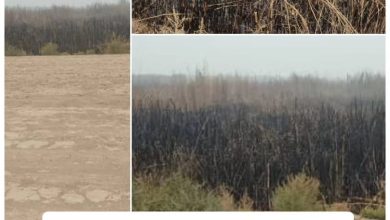 سكان مدن الحويزة و الخفاجية يعانون من صعوبة التنفس بسبب دخان حرائق هور العظيم/الحويزة